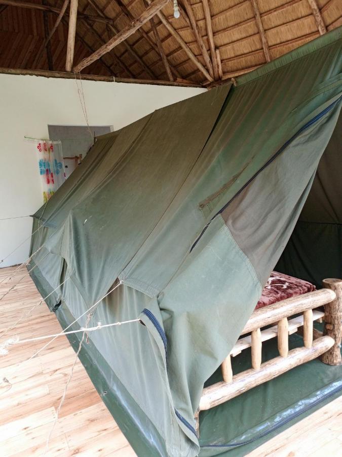 Chimpanzee Capital Safari Lodge Bigodi Экстерьер фото